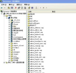 安装IIS后Internet信息服务中没有默认网站？原因解析与解决方案